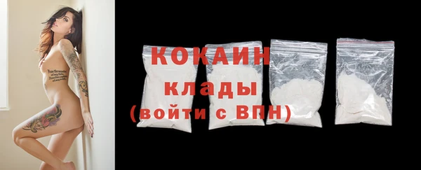 ешки Арсеньев