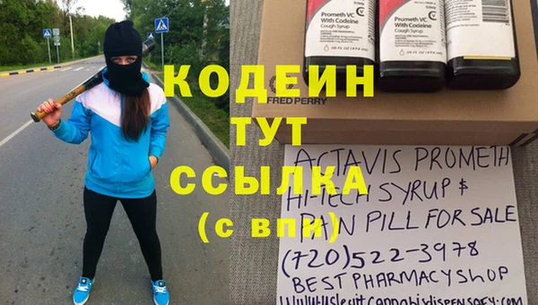 прущий лед Алзамай