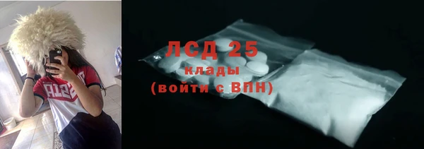 прущий лед Алзамай
