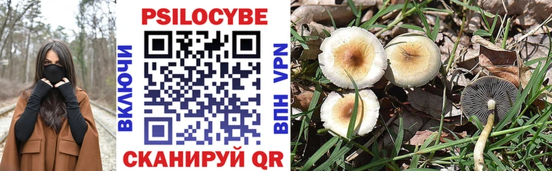 закладки  Карабулак  Псилоцибиновые грибы Magic Shrooms 